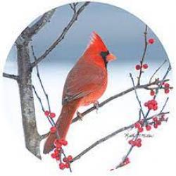 CARDINAL IN EVERGREEN JAR OPENER